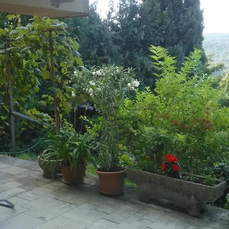 Farkaslak 招待所